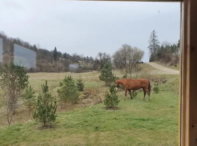 Wilcza Dolina * Sekowa